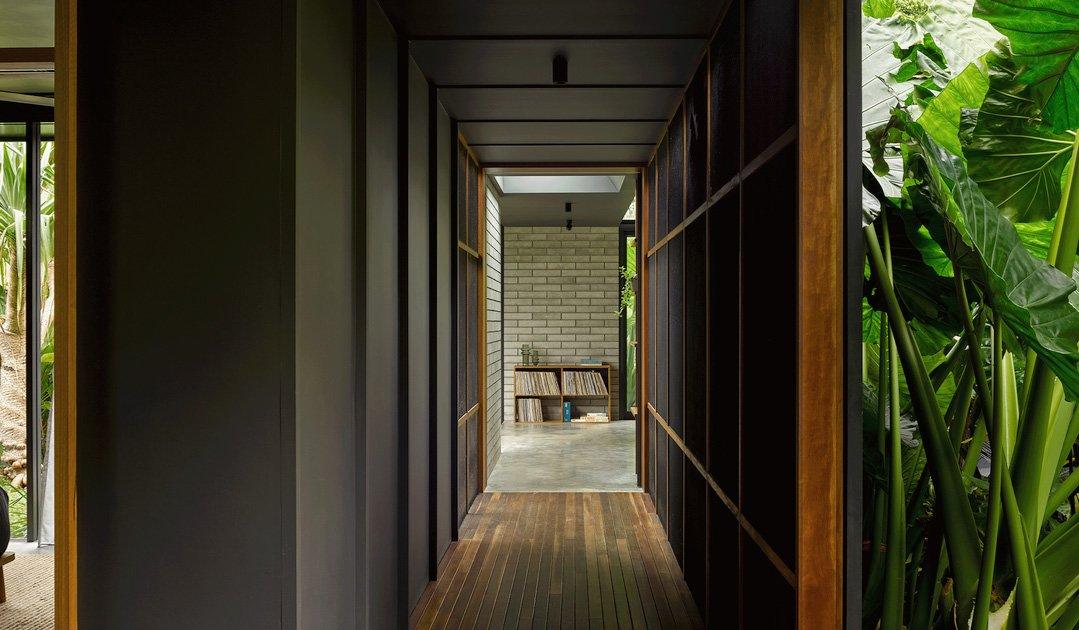 Timber-lined hallway with dark joinery opening to a tropical garden